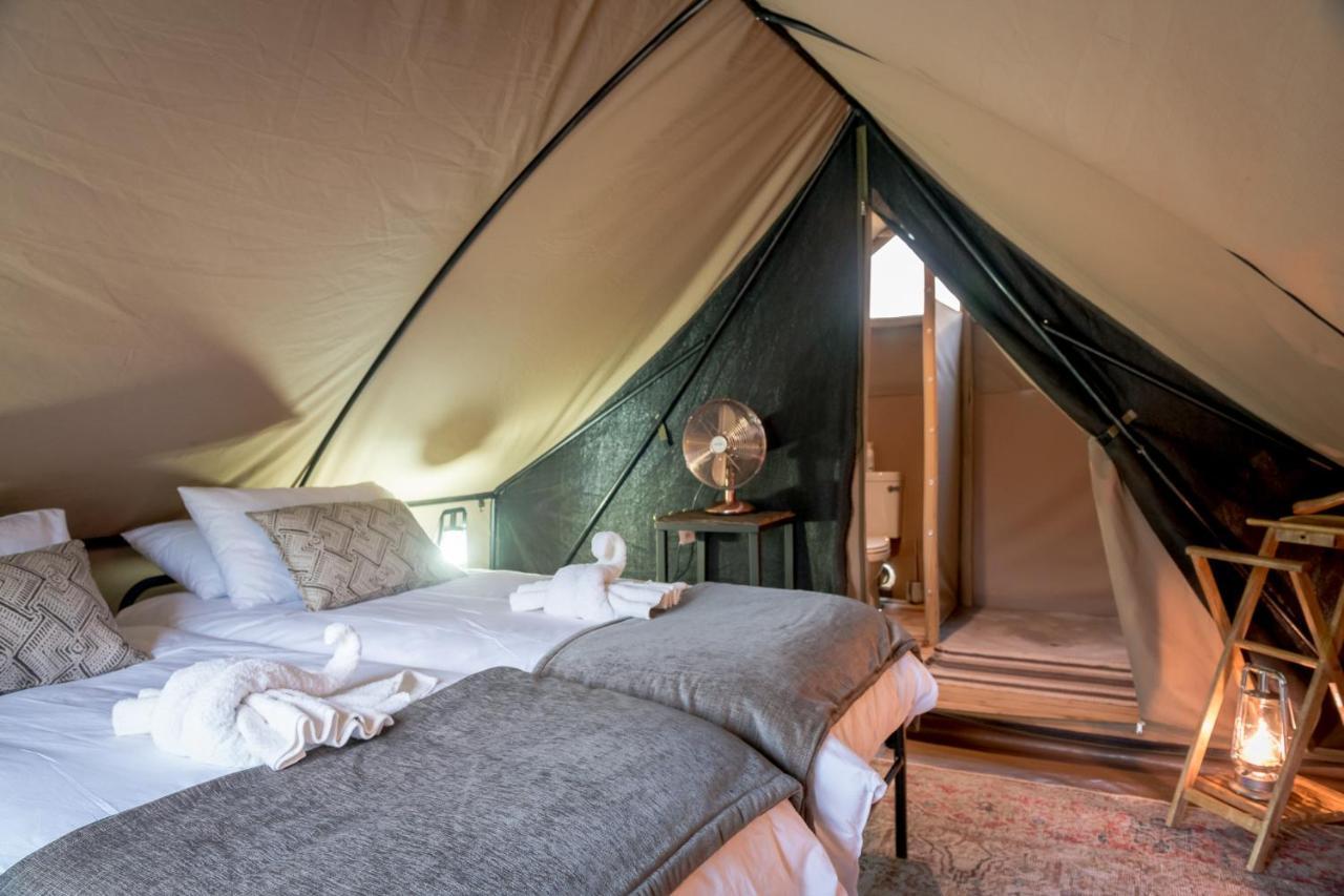 Bundox Explorer Camp Hoedspruit Extérieur photo